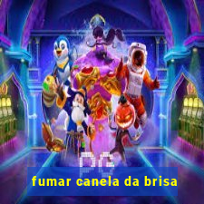 fumar canela da brisa